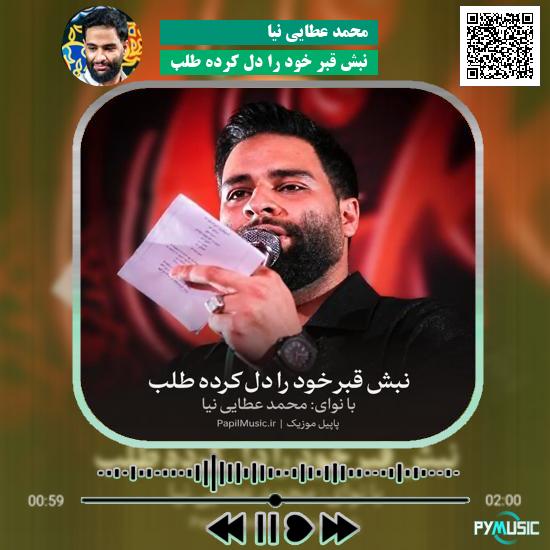 دانلود مداحی نبش قبر خود را دل کرده طلب محمد عطایی نیا